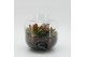 Arrangementen kamerplanten HECR-2536 Autumn Essentials terrarium 2 pp 
