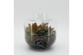 Arrangementen kamerplanten HECR-2536 Autumn Essentials terrarium 2 pp