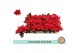 Euphorbia pul. christmas feelings red Zonder Hoes 