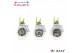 Hippeastrum gewaxt No Water Flowers® Craftz - Christmas Eve 2 tak/plnt 