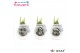 Hippeastrum gewaxt No Water Flowers® Craftz - Santa & Friends 2 tak/pl 
