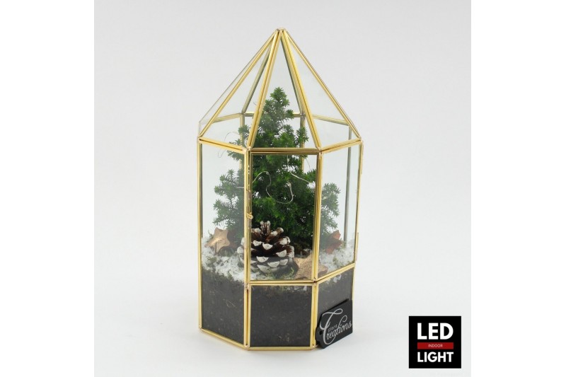 Arrangementen kerst XMAS-25108LED Kerst creatie terrarium 1 pp Arrangementen kerst XMAS-25108LED Kerst creatie terrarium 1 pp