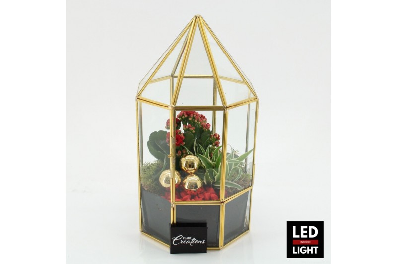 Arrangementen kerst XMAS-25242LED Kerst creatie terrarium 2 pp Arrangementen kerst XMAS-25242LED Kerst creatie terrarium 2 pp