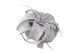 Tillandsia xerographica tillandsia xerographica wit met glitter 