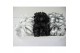 Tillandsia xerographica tillandsia xerographica mix verf met glitter ( 
