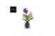 Vanda hybriden Bose glas - Blue 