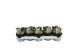 Hyacinthus orientalis white pearl 3pp 