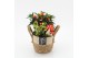 Arrangementen tuinplanten HBCR-2506 Herfst buiten creatie 2 pp 