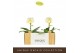 Paphiopedilum Wit - 1 bloem 