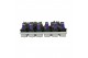Hyacinthus aqua 1pp 