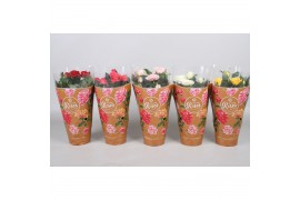 Rosa favourite mix kar Rosa Favourite Roses diversen per laag/kar