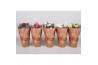 Rosa favourite mix kar Rosa Favourite Roses diversen per laag/kar