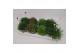 Vaste planten mix 