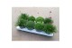 Vaste planten mix 