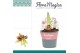 Hippeastrum Amaryllis Papilio 2 Knop in Potkraag2 tak/plnt 