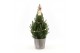 Picea glauca december P19 in Wood + Starlight + Star on Loop 