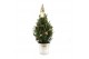 Picea glauca december P19 in Zinc Old-Look + Pine-Cone Light + Tree on 