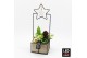 Arrangementen hyacinthus HYCXM-2510LED Hyacint Kerst 2 pp 