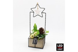 Arrangementen hyacinthus HYCXM-2510LED Hyacint Kerst 2 pp