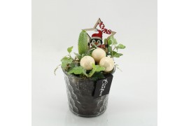 Arrangementen hyacinthus HYCXM-2512 Hyacint Kerst 2 pp