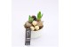 Arrangementen hyacinthus XHF-2512 Xmas Hyacint Fundamentals 2 pp 