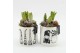 Arrangementen hyacinthus HYCXM-2543 Hyacint Kerst 1 pp 
