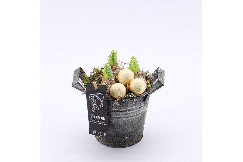 Arrangementen hyacinthus XHF-2522 Xmas Hyacint Fundamentals 1 pp Arrangementen hyacinthus XHF-2522 Xmas Hyacint Fundamentals 1 pp