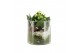 Arrangementen kamerplanten 61698: X-mas arrangement 1 pp 