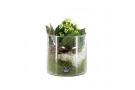 Arrangementen kamerplanten 61698: X-mas arrangement 1 pp