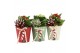 Arrangementen kamerplanten 61818: X-mas arrangement 2 pp 