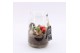 Arrangementen hyacinthus XHF-2507 Xmas Hyacint Fundamentals 1 pp 