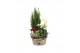 Arrangementen tuinplanten 61992: X-mas outdoor arrangement 3 pp 