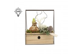 Arrangementen kamerplanten 61957: X-mas arrangement 2 pp