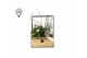 Arrangementen kamerplanten 61941: X-mas arrangement 2 pp 