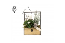 Arrangementen kamerplanten 61941: X-mas arrangement 2 pp