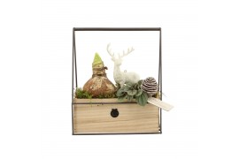 Arrangementen kamerplanten 61956: X-mas arrangement 2 pp