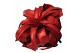 Tillandsia xerographica tillandsia xerographica rood met glitter 1 bl. 