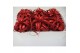 Tillandsia xerographica tillandsia xerographica rood met glitter 1 bl. 