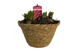 Arrangementen kerst 8pp - Zeegrasmand