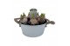 Arrangementen hyacinthus 8pp - Wit - Wit Zink rond groot 