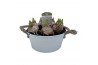 Arrangementen hyacinthus 8pp - Wit - Wit Zink rond groot