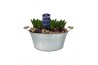 Arrangementen hyacinthus 10pp - Blauw - Zink rond groot