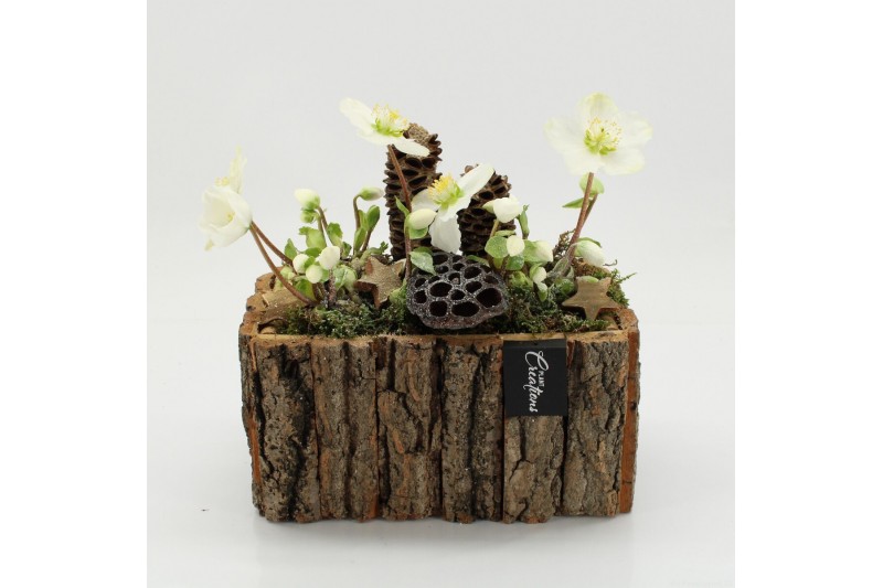 Arrangementen helleborus NHCR-2521 Verboom Helleborus 2 pp Arrangementen helleborus NHCR-2521 Verboom Helleborus 2 pp