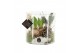 Arrangementen kamerplanten 61704: X-mas arrangement 2 pp 
