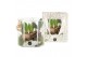 Arrangementen kamerplanten 61727: X-mas arrangement 2 pp 