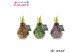 Hippeastrum gewaxt No Water Flowers® Galaxy Polaris Mix 2 tak/plnt 