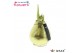 Hippeastrum gewaxt No Water Flowers Waxz® Luxury Gold(Decorum) 2 tak/p 