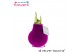 Hippeastrum gewaxt No Water Flowers Velvet Touchz® Pink 2 tak/plnt 