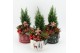 Arrangementen kerst XMAS-25023M Kerst creatie 4 pp 