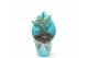 Pachypodium Sierras - Pachypodium Succulentum 1 pp 